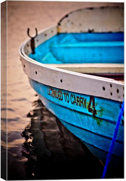 Licenced to carry 4 Canvas Print by Kelvin Futcher 2D Photography