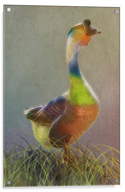 A Goose Of Many Colors Acrylic by Tom York