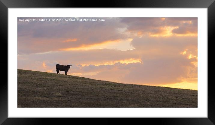 Sunset Silhouette at Arthurs Creek Framed Mounted Print by Pauline Tims