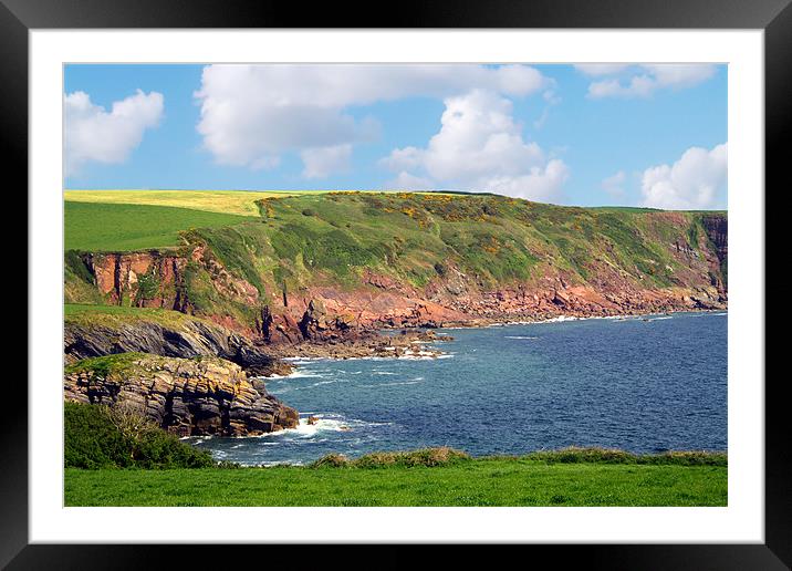 Coastal Path Along Stackpole Quay Framed Mounted Print by Geoff Pickering