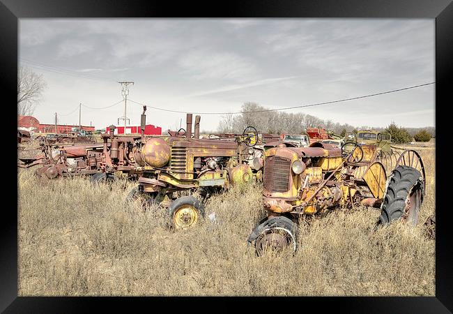 Heritage Tractors Framed Print by Rob Hawkins
