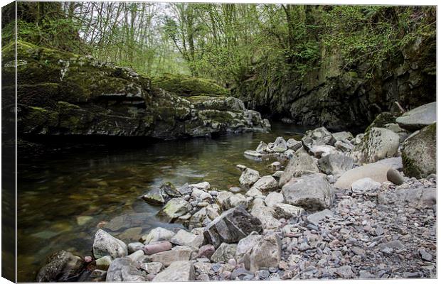 Nedd Fechan Canvas Print by Dan Davidson