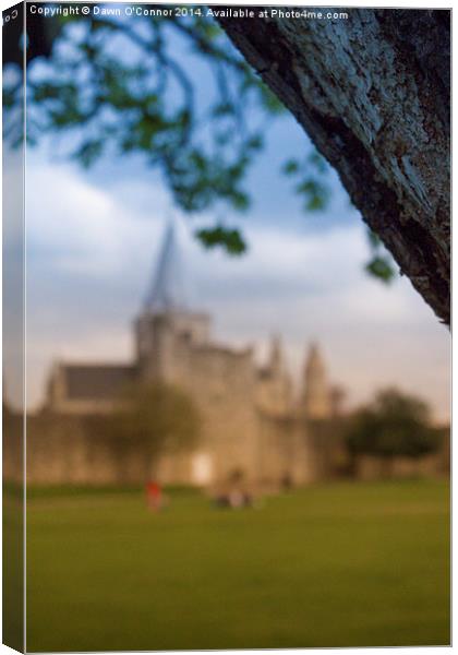 Rochester Cathedral Canvas Print by Dawn O'Connor
