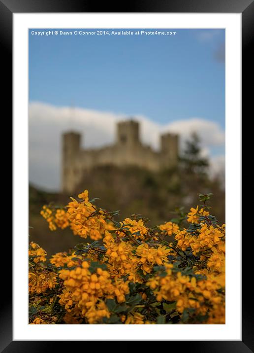 Rochester Castle Framed Mounted Print by Dawn O'Connor