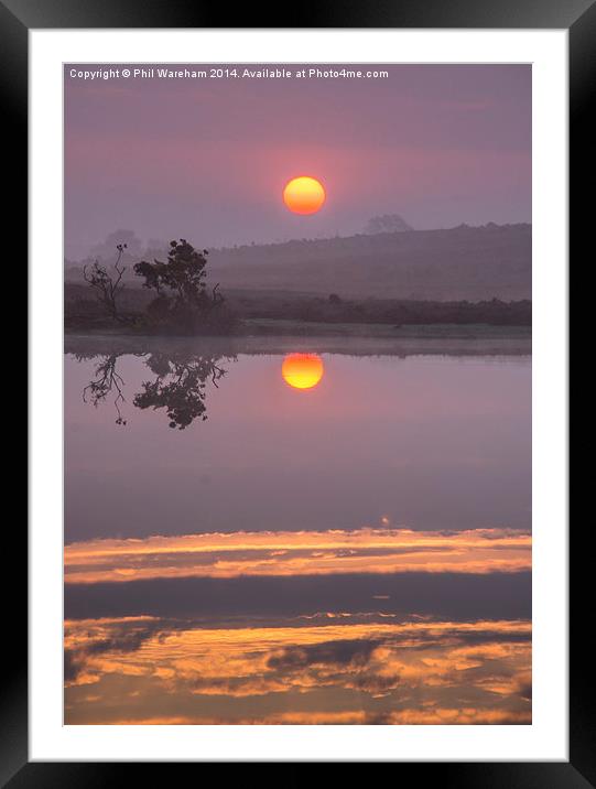 Sunrise over the pond Framed Mounted Print by Phil Wareham
