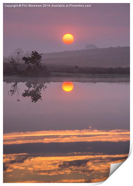 Sunrise over the pond Print by Phil Wareham
