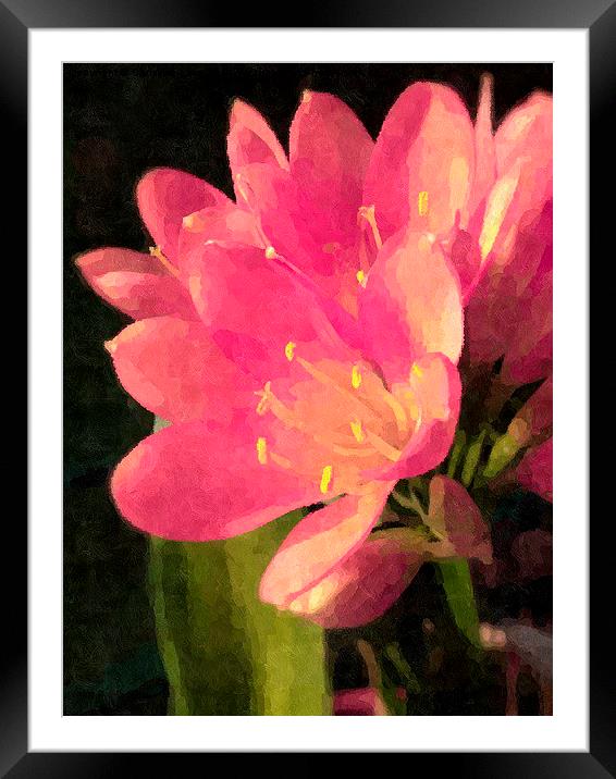 Memories of a Lily Framed Mounted Print by Christine Lake