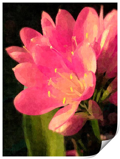 Memories of a Lily Print by Christine Lake
