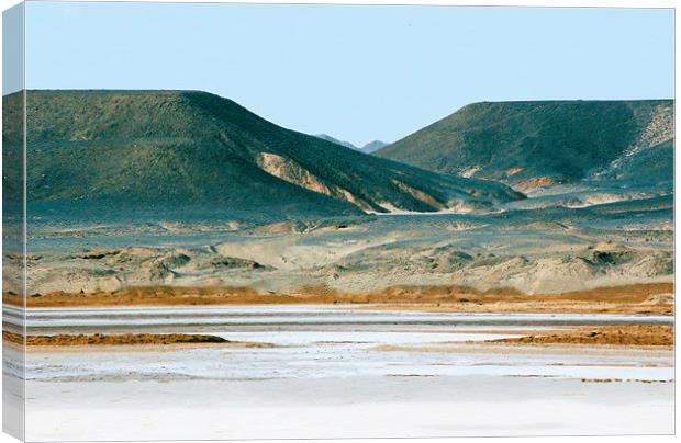 Salt Flats, Eastern Desert Canvas Print by Jacqueline Burrell