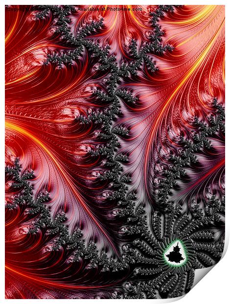 Flames - A Fractal Abstract Print by Ann Garrett