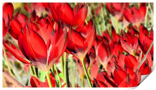 dreaming of tulips Print by Heather Newton