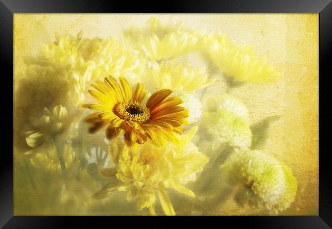 Flowers Framed Print by Daves Photography