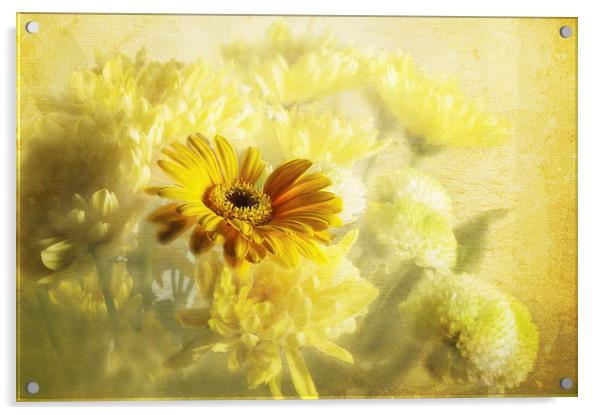 Flowers Acrylic by Daves Photography