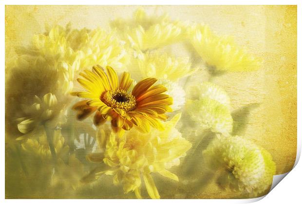 Flowers Print by Daves Photography