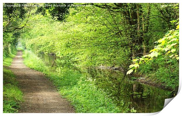 Canal Walk Print by Peter Farrington