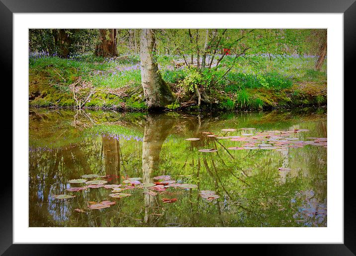Pastel Reflections Framed Mounted Print by carol hynes