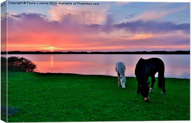 Horses at Sunset Canvas Print by Paula J James