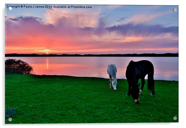 Horses at Sunset Acrylic by Paula J James