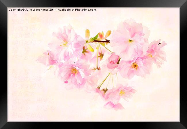 Sakura Framed Print by Julie Woodhouse