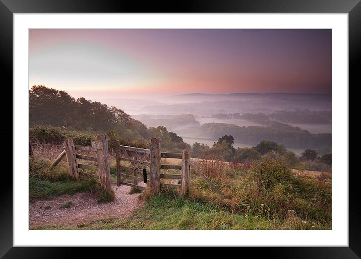 Foggy Morning 4 Framed Mounted Print by Iksung Nah