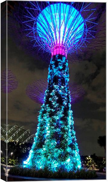 Gardens by the Bay Tree Canvas Print by Mark McDermott