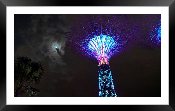 Gardens by the Bay & Moon Framed Mounted Print by Mark McDermott
