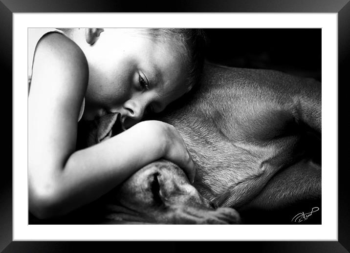 Best Friends Framed Mounted Print by Rob Toombs