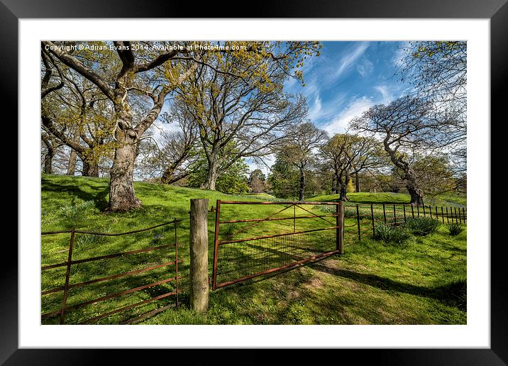 Meadow Gate Framed Mounted Print by Adrian Evans