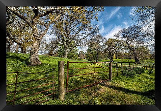 Meadow Gate Framed Print by Adrian Evans