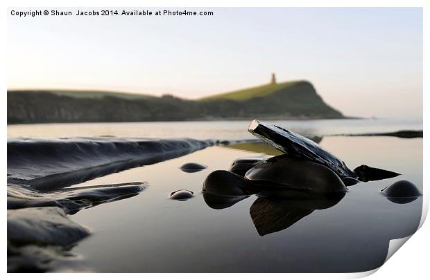 Reflected Pebbles Print by Shaun Jacobs