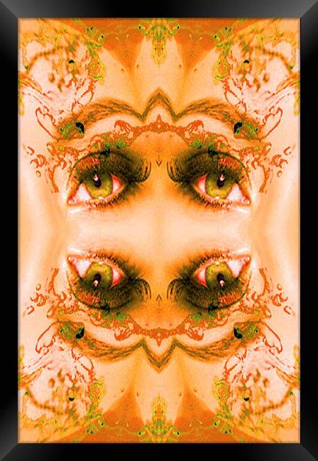 Eyes of a Mirror Framed Print by Matthew Lacey