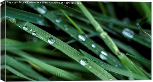 Rain Drops Canvas Print by Laura Witherden