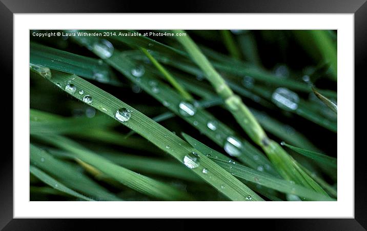 Rain Drops Framed Mounted Print by Laura Witherden