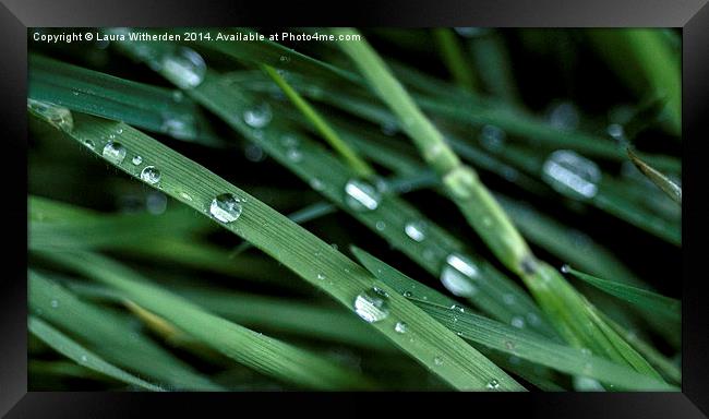 Rain Drops Framed Print by Laura Witherden