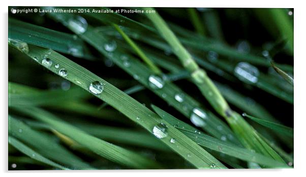 Rain Drops Acrylic by Laura Witherden