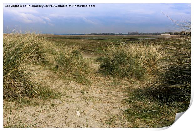 A view across the salt marsh Print by colin chalkley