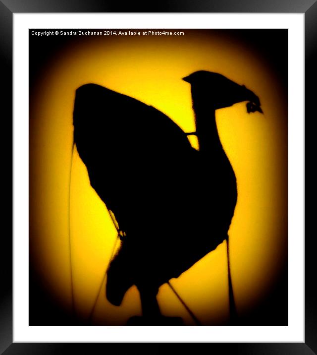 Liver Bird Liverpool Framed Mounted Print by Sandra Buchanan
