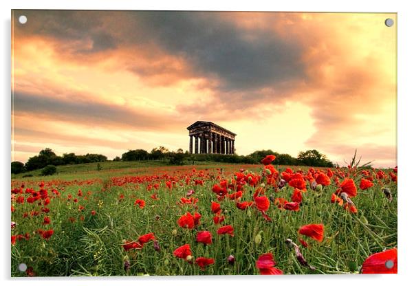 Penshaw Monument Acrylic by Northeast Images