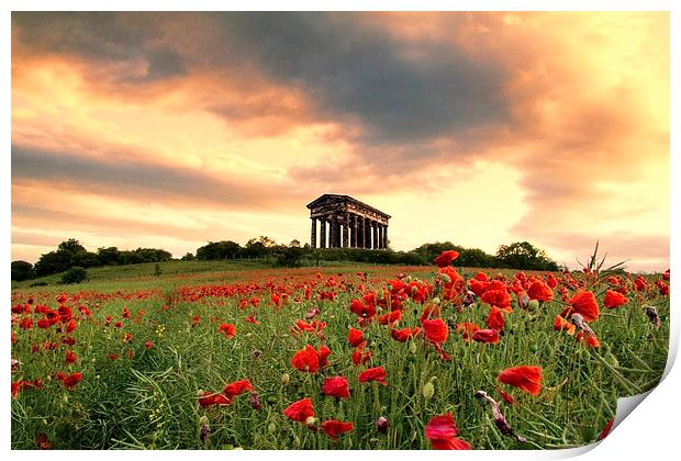 Penshaw Monument Print by Northeast Images