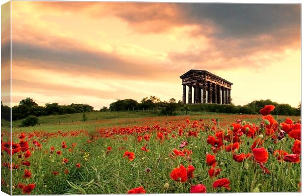 Penshaw Monument Canvas Print by Northeast Images