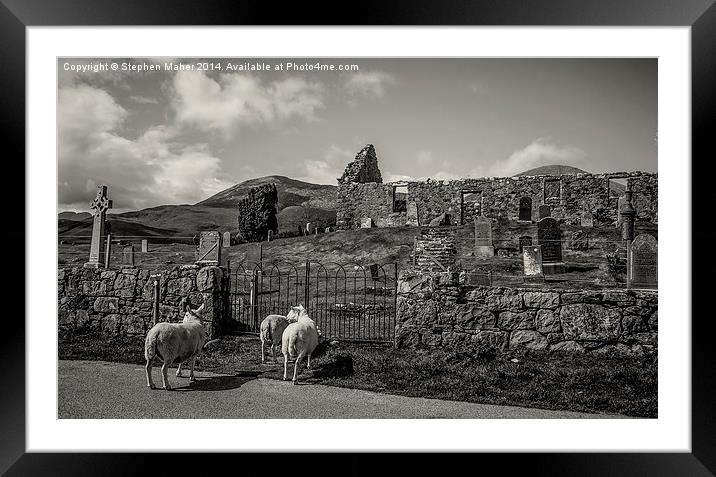 Sheep at Cill Chriosd, Skye Framed Mounted Print by Stephen Maher