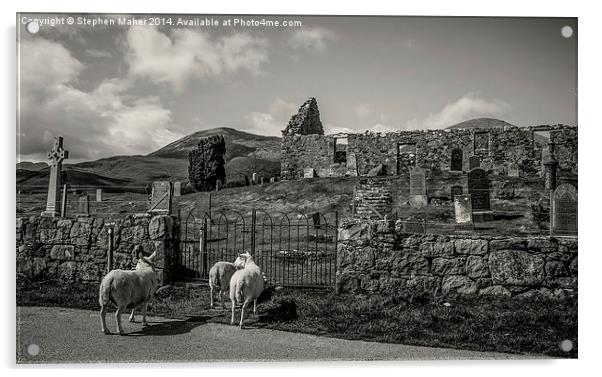 Sheep at Cill Chriosd, Skye Acrylic by Stephen Maher