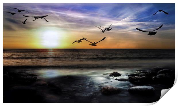 A MORNING FLIGHT Print by Rob Toombs