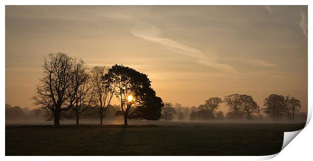 Norfolk Sunrise Print by Simon Wrigglesworth