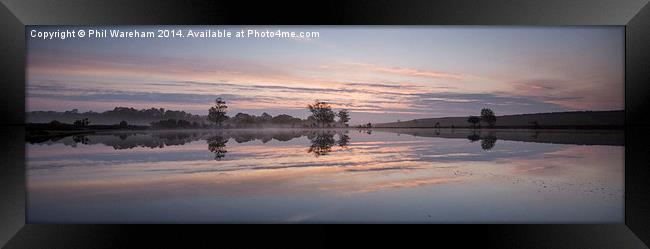 Pond Panorama Framed Print by Phil Wareham