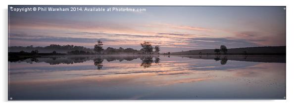 Pond Panorama Acrylic by Phil Wareham
