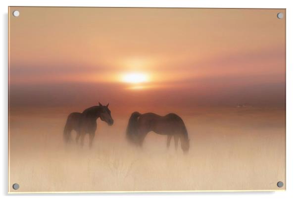 Horses in a misty dawn Acrylic by Valerie Anne Kelly