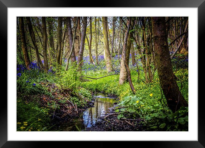 Following into the Woodland Stream Framed Mounted Print by matthew  mallett