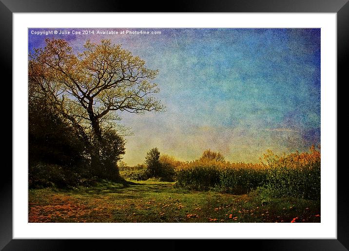 Oilseed Rape Field, Norfolk. Framed Mounted Print by Julie Coe