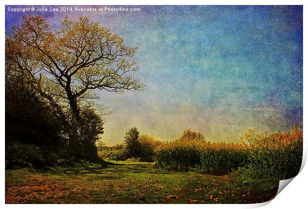 Oilseed Rape Field, Norfolk. Print by Julie Coe